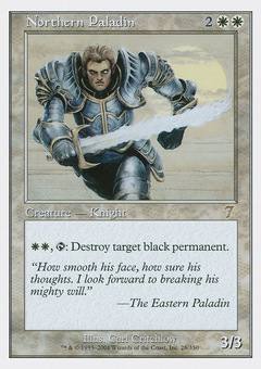 Northern Paladin